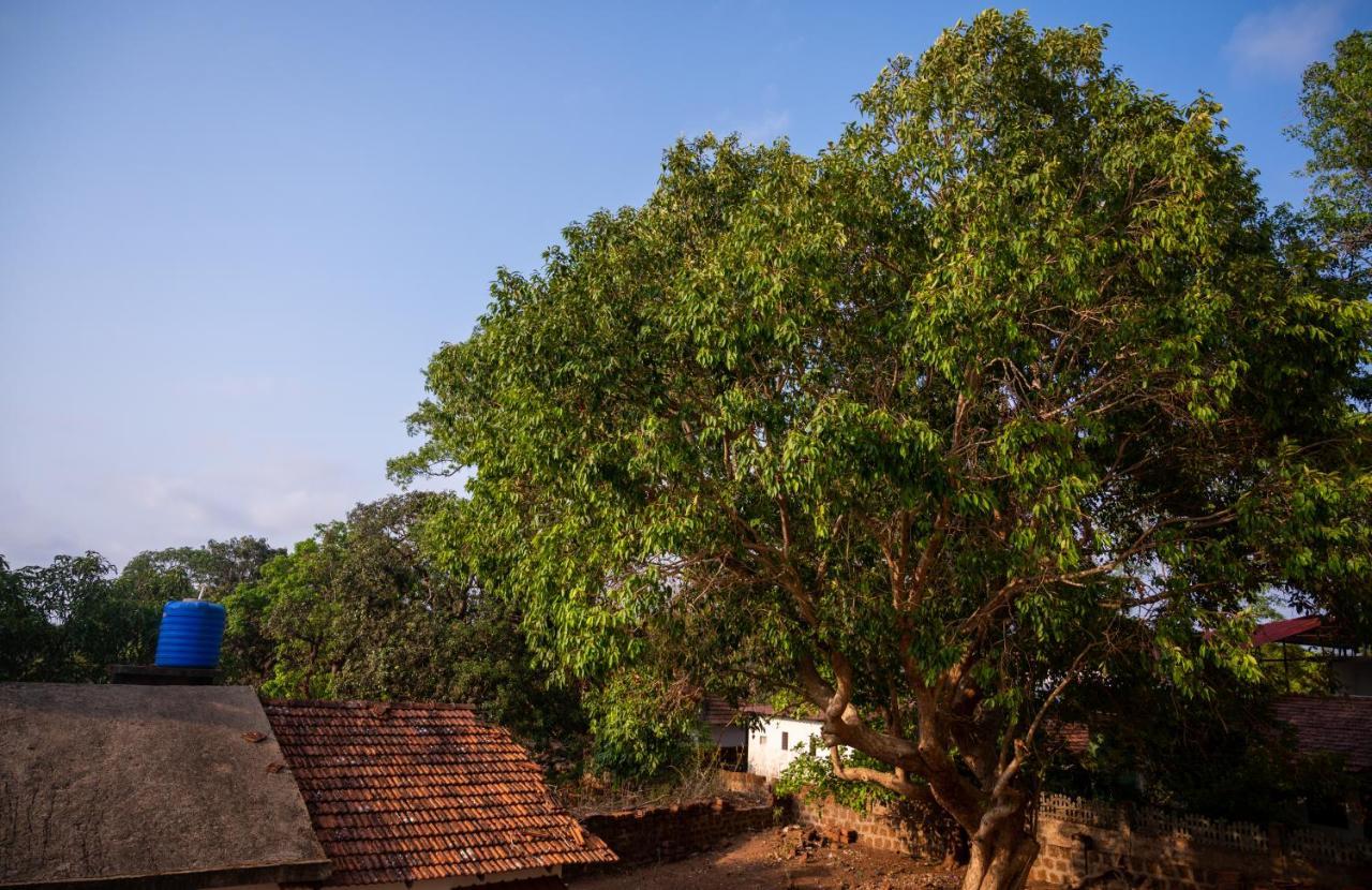 La Oasis By Meraden ,Goa Anjuna Zewnętrze zdjęcie